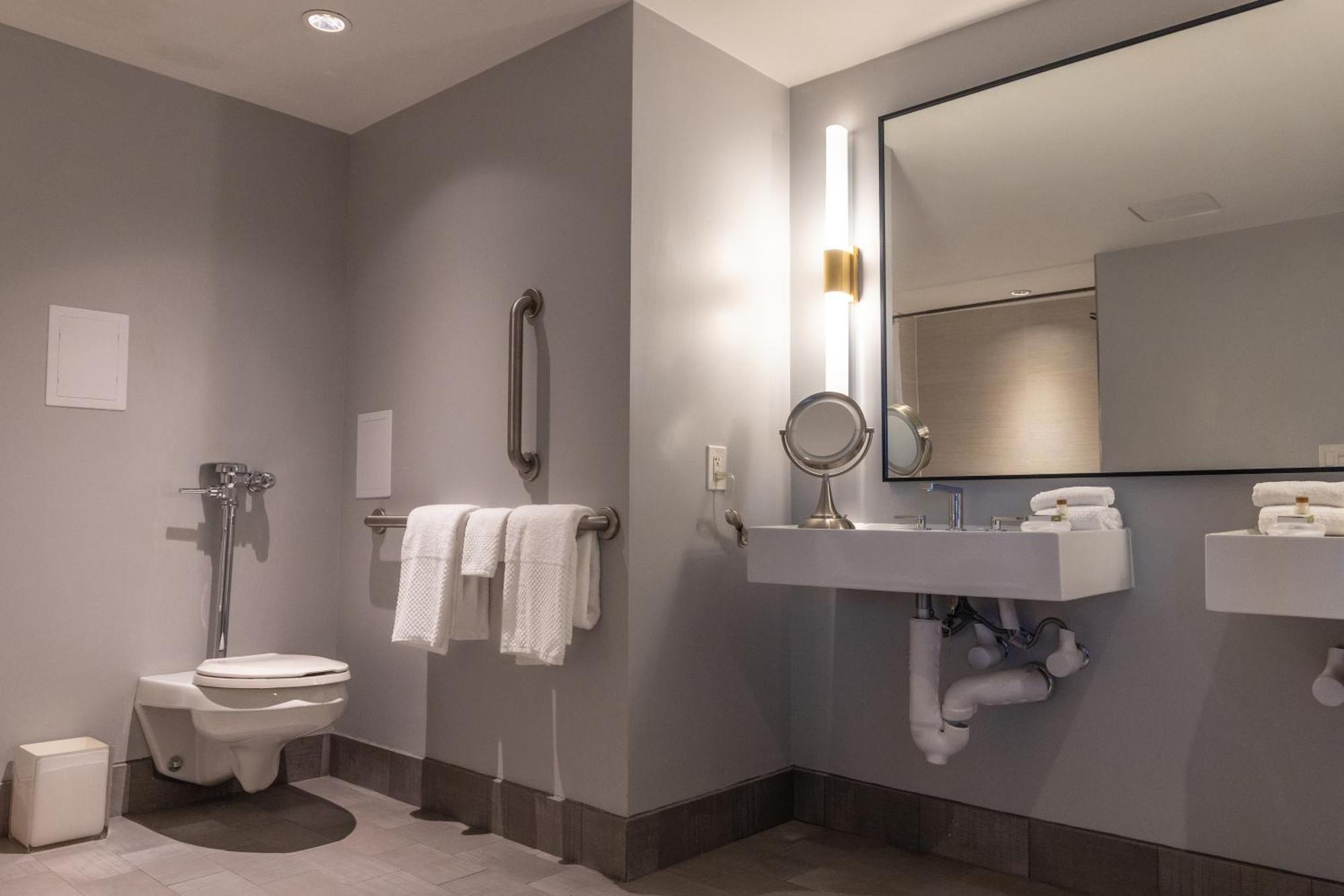 The Starling Midtown, Curio Collection By Hilton Hotel Atlanta